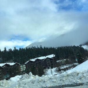 Meet your Posher, Edna